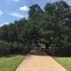 amandamiller705